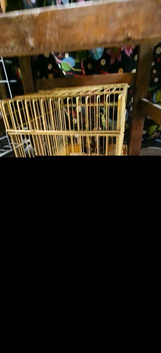 Jaulas para pájaros (2 unidades)