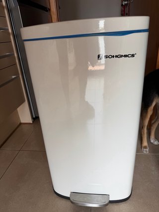 Cubo basura Songmics blanco Capacidad 30L