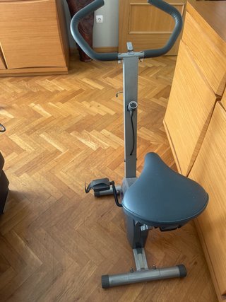 Bici Estática Gris