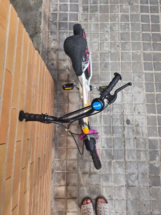 Bicicleta infantil Fantasy Color 3