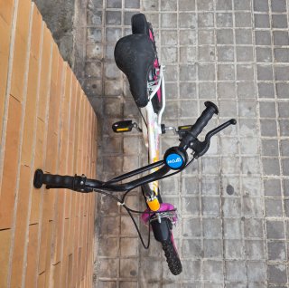 Bicicleta infantil Fantasy Color 3