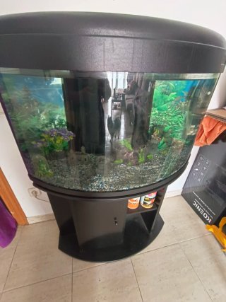 Acuario completo con mueble