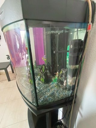 Acuario completo con mueble