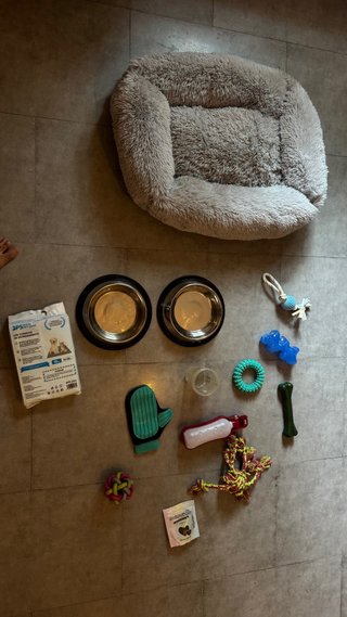Cama perro (80x60) y juguetes. Whatsup: 663477917