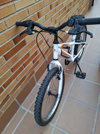 Bicicleta Boomerang KID 200 - 20 pollici