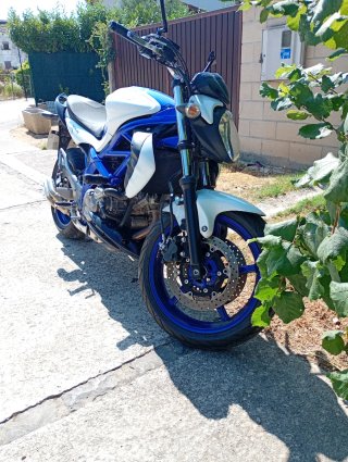 Suzuki SFV650 Gladius Azul/Blanca