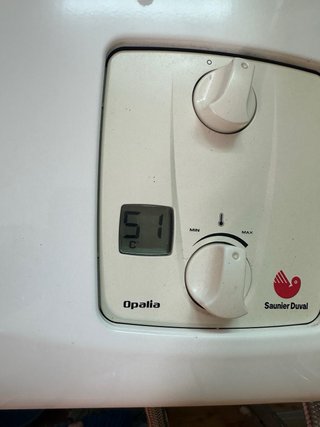 Calentador Saunier Duval Opalia Gas Ciudad