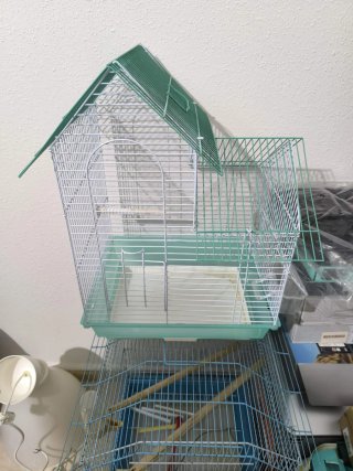 Jaula para pájaros verde y blanca