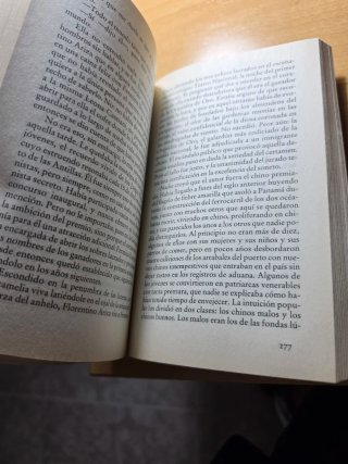 El amor en los tiempos del cólera (Spanish)