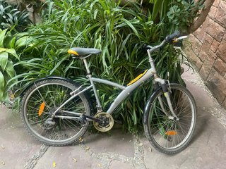 Bicicleta de paseo