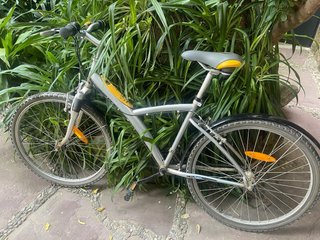 Bicicleta de paseo