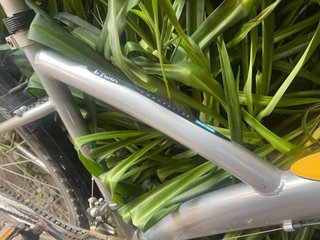 Bicicleta de paseo