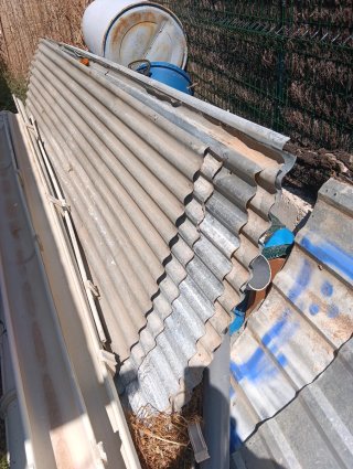 Planchas para cobertizos