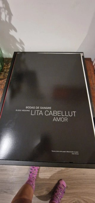 Bodas de sangre. Lita Cabellut (libro de estudi...