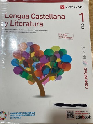 Lengua castellana y literatura