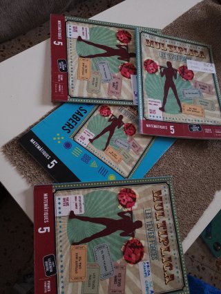 Matemàtiques 3, Tercer Cicle Primària, Fanfest