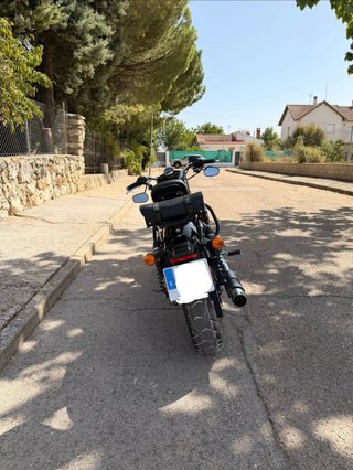 Harley Davidson Sportster Roadster 1200