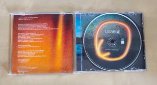 Ligabue 2CD Fuori come va? / A che ora è