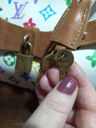 Borsa Louis Vuitton bauletto multicolor