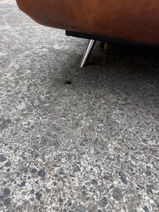 Sofá Cama polipiel  Marrón
