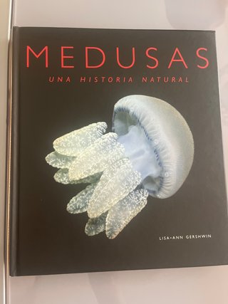 Medusas Una historias natural