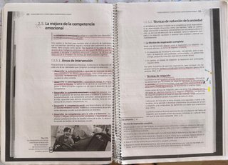 Libro Destrezas Sociales 2° curso CFGM (APSD)
