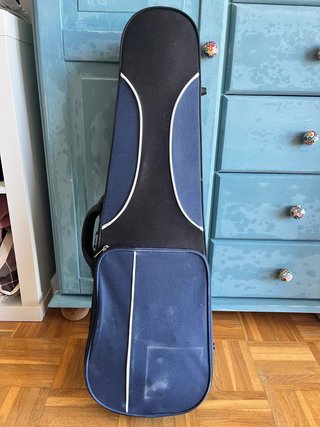 Violín Gliga 3/4 y estuche Rhapsody