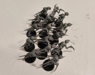 Pack Tiránidos (Jon) - Warhammer 40k