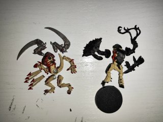 Pack Tiránidos (Jon) - Warhammer 40k