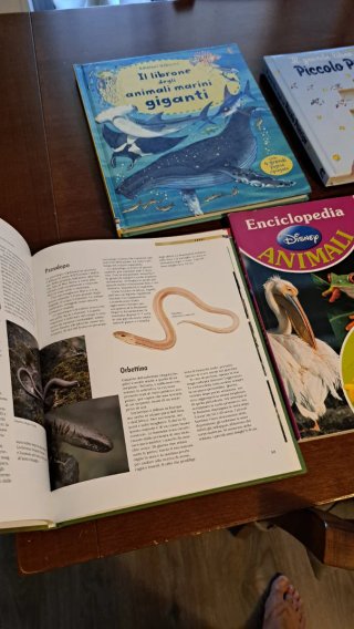 Vari Libri x ragazzi