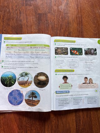 Ciencias de la Naturaleza, 4 Primaria, Proyecto...
