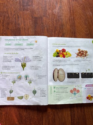 Ciencias de la Naturaleza, 4 Primaria, Proyecto...