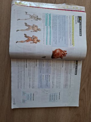 Bioloxía e Xeoloxía, 3 Secundaria, Fanfest