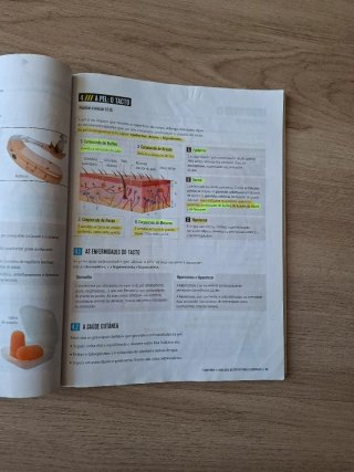 Bioloxía e Xeoloxía, 3 Secundaria, Fanfest