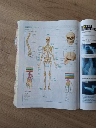 Bioloxía e Xeoloxía, 3 Secundaria, Fanfest