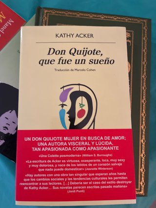 Libro Don Quijote, que fue un sueño - Kathy Acker