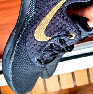 Zapatillas Baloncesto Nike LeBron Witness III