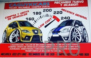 Cuero palanca  fiat bravo