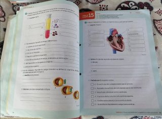 Conjunto livro+caderno de atividades 6° ano
