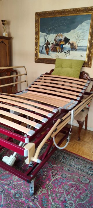 Cama hospitalaria.
