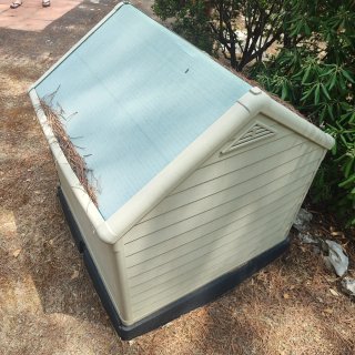 Caseta para perro de resina