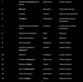 Lote Fósiles Variados + Meteorito