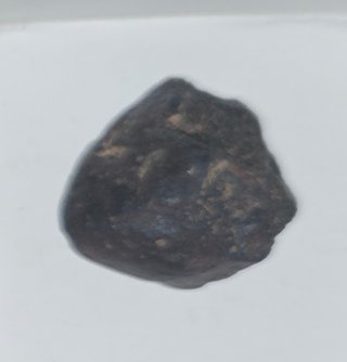 Lote Fósiles Variados + Meteorito