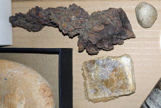 Lote Fósiles Variados + Meteorito