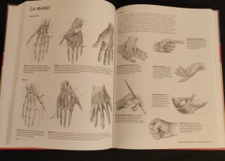 Libro Guía completa de dibujo : figura humana