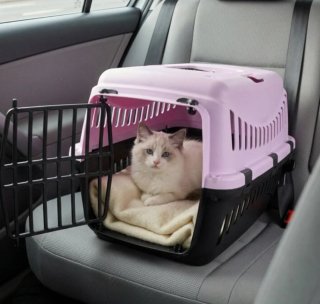 Transportín Mascota verde