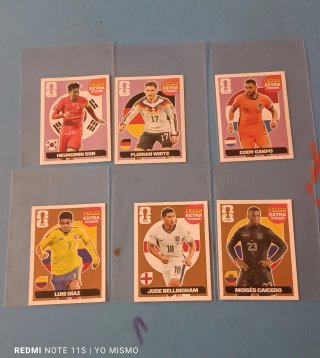Panini Extra Stickers Morados y Bronce