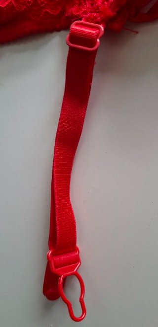 Corpiño con liguero