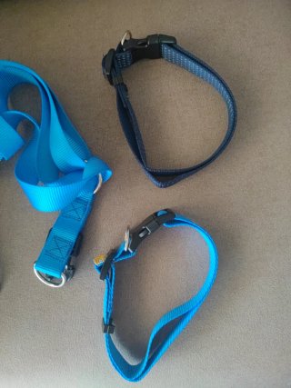 Arnés y 2 collares para perro mediano