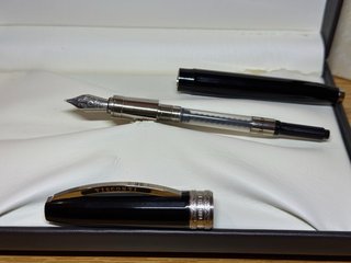 Pluma Visconti Michelangelo